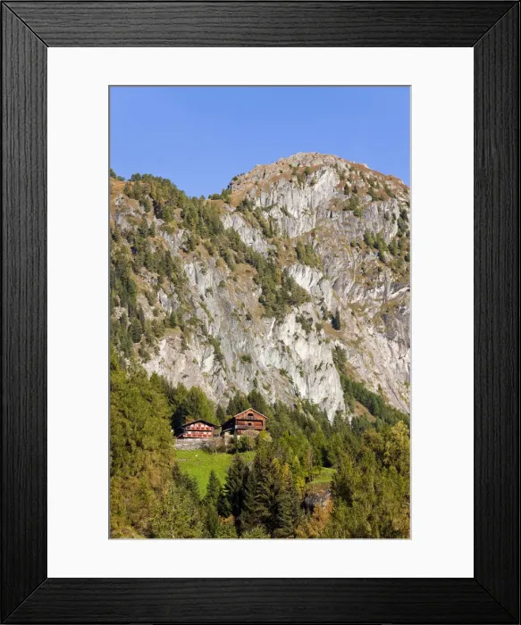 Framed Print : DDE-90028839
