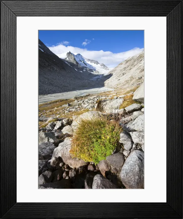 Framed Print : DDE-90028879 Framed Print : DDE-90028879