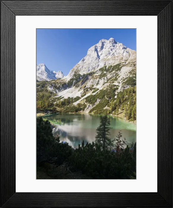 Framed Print : DDE-90028899