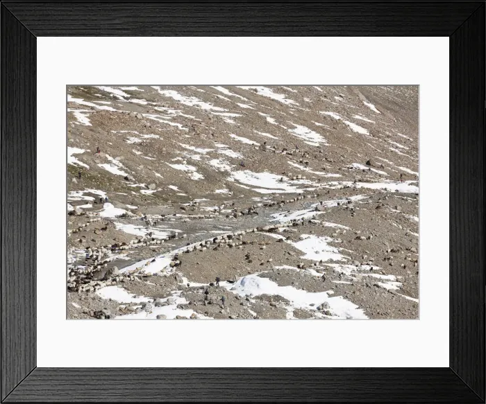 Framed Print : DDE-90028906