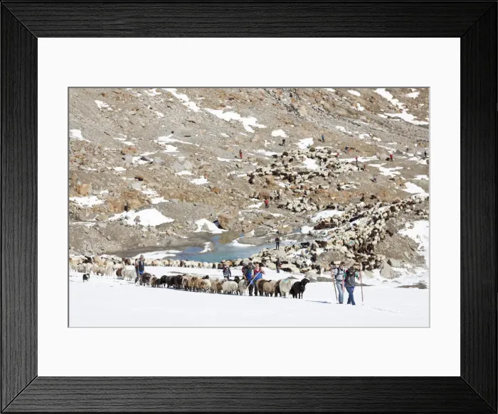Framed Print : DDE-90028908