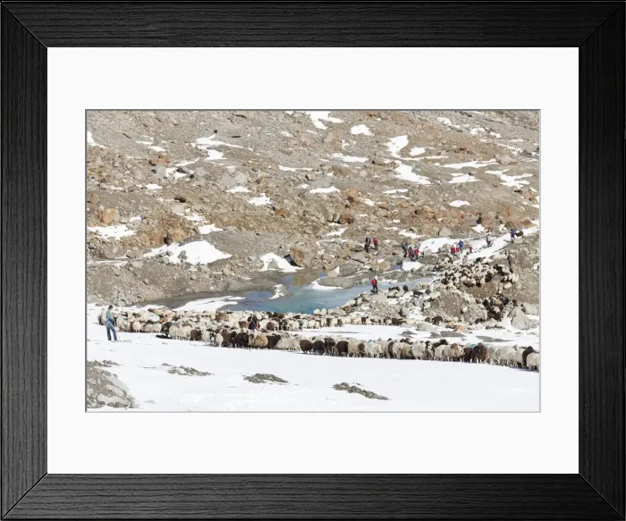 Framed Print : DDE-90028909 Framed Print : DDE-90028909