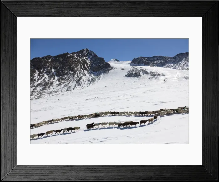 Framed Print : DDE-90028910 Framed Print : DDE-90028910