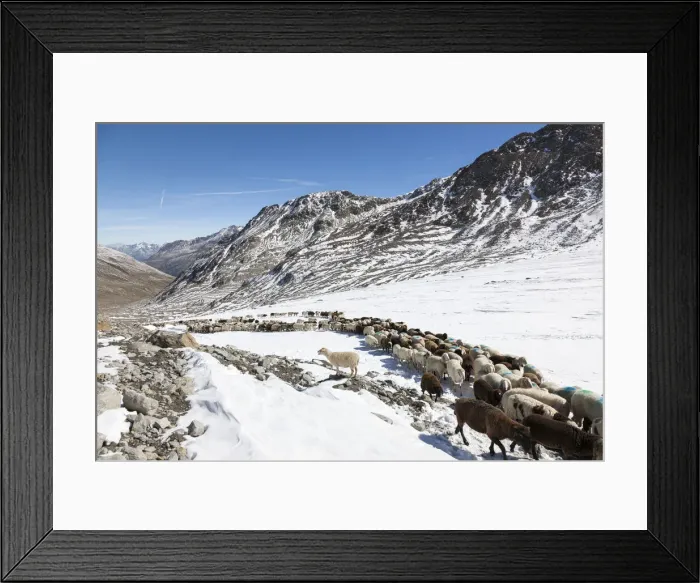 Framed Print : DDE-90028911 Framed Print : DDE-90028911
