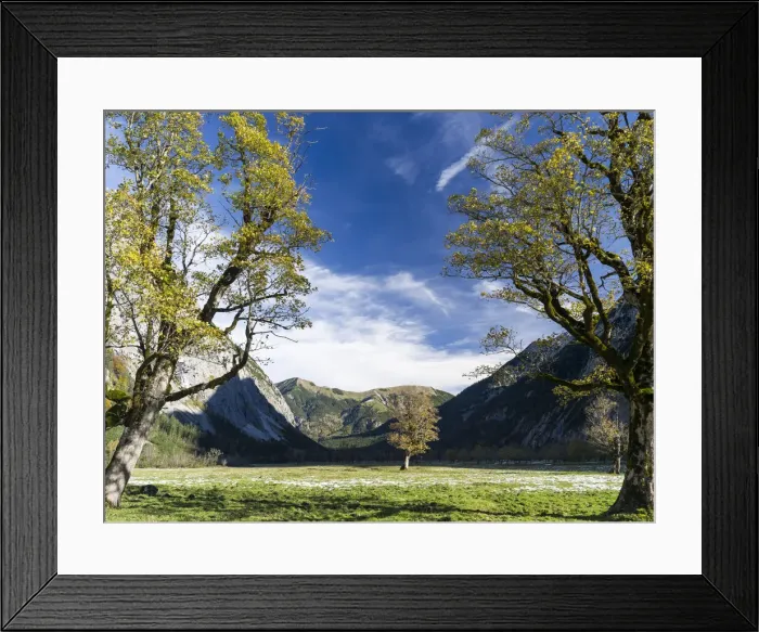 Framed Print : DDE-90028912 Framed Print : DDE-90028912