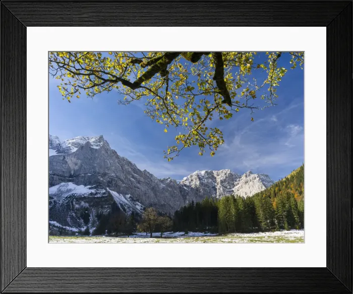 Framed Print : DDE-90028913 Framed Print : DDE-90028913