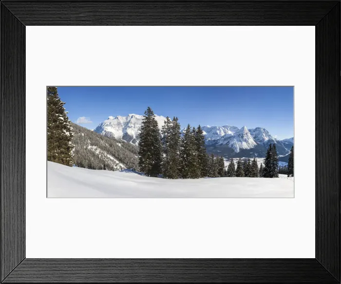 Framed Print : DDE-90028917