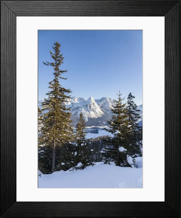 Framed Print : DDE-90028919