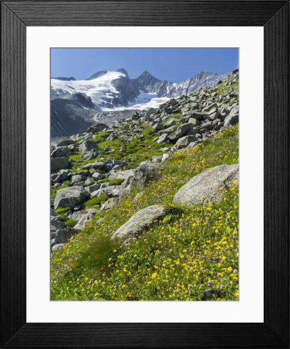 Framed Print : DDE-90028923 Framed Print : DDE-90028923