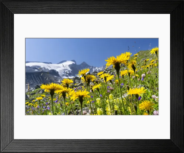 Framed Print : DDE-90028924 Framed Print : DDE-90028924