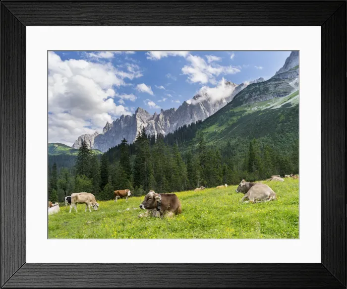 Framed Print : DDE-90028947 Framed Print : DDE-90028947