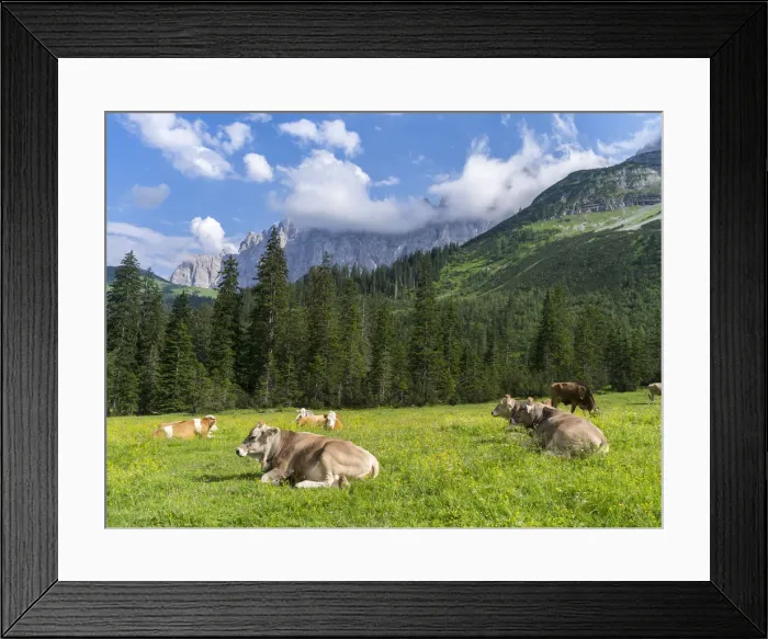 Framed Print : DDE-90028948 Framed Print : DDE-90028948