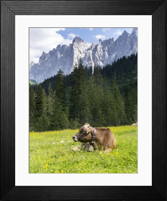 Framed Print : DDE-90028949 Framed Print : DDE-90028949