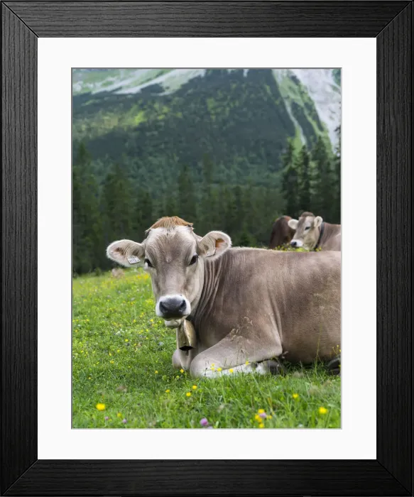 Framed Print : DDE-90028951