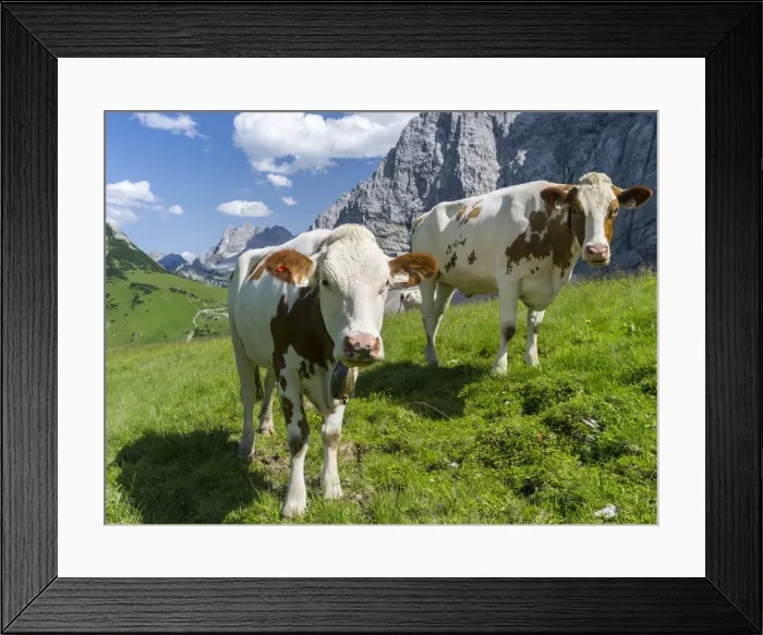 Framed Print : DDE-90028952 Framed Print : DDE-90028952