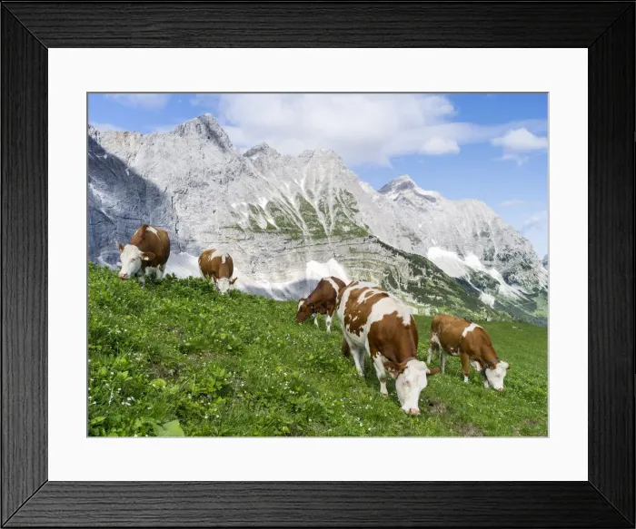 Framed Print : DDE-90028953
