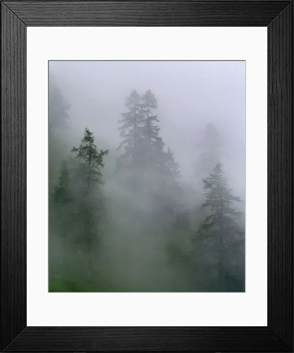 Framed Print : DDE-90028963 Framed Print : DDE-90028963