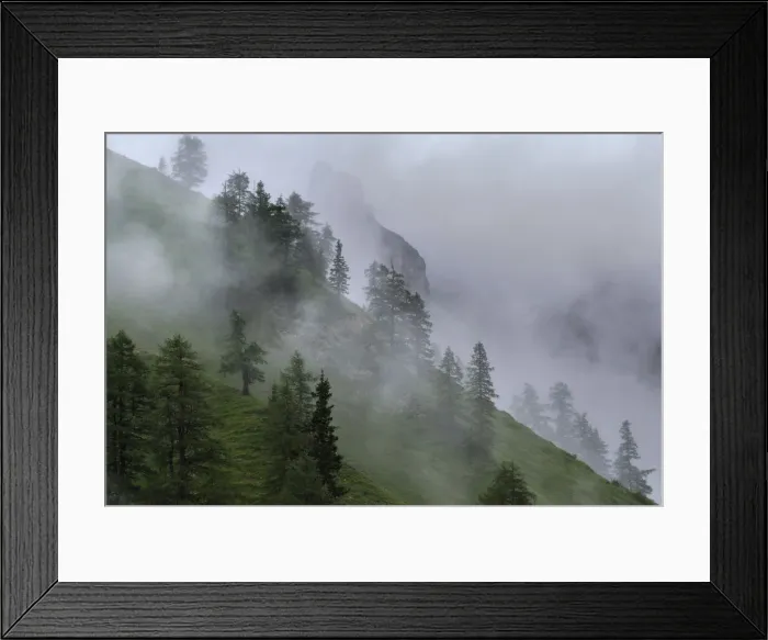 Framed Print : DDE-90028964