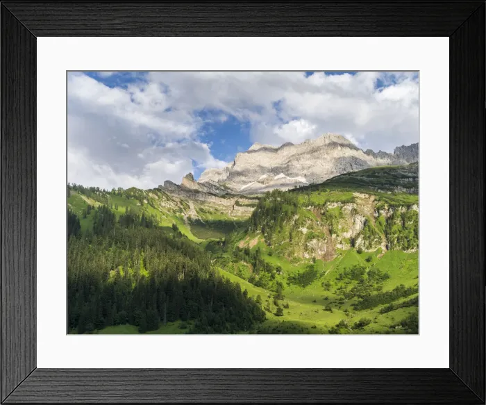 Framed Print : DDE-90028965 Framed Print : DDE-90028965