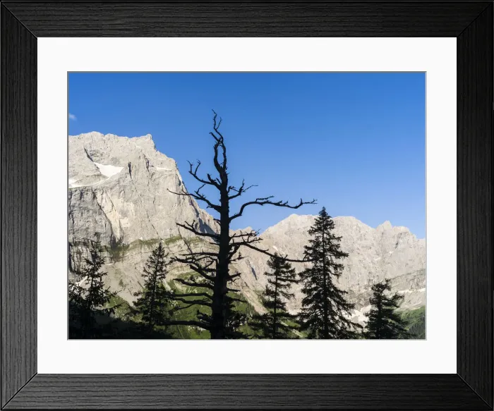 Framed Print : DDE-90028970 Framed Print : DDE-90028970