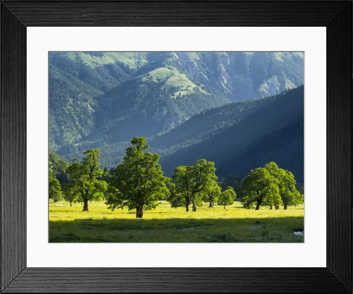 Framed Print : DDE-90028971 Framed Print : DDE-90028971