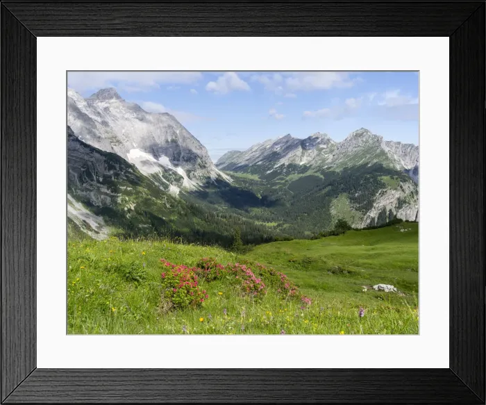 Framed Print : DDE-90028973 Framed Print : DDE-90028973