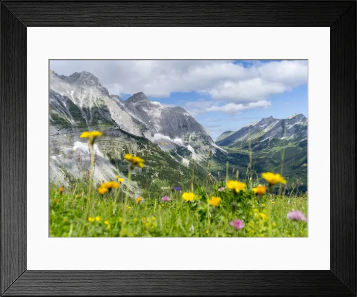 Framed Print : DDE-90028974