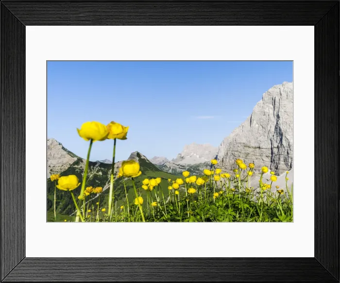 Framed Print : DDE-90028979
