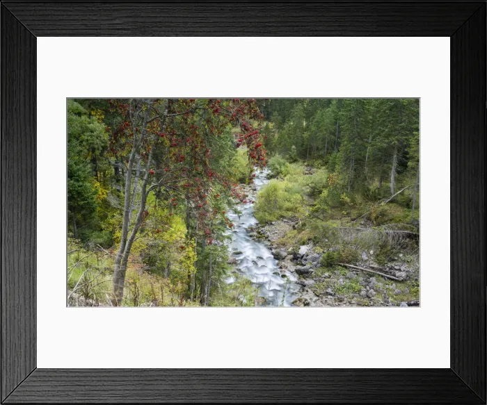 Framed Print : DDE-90028980 Framed Print : DDE-90028980
