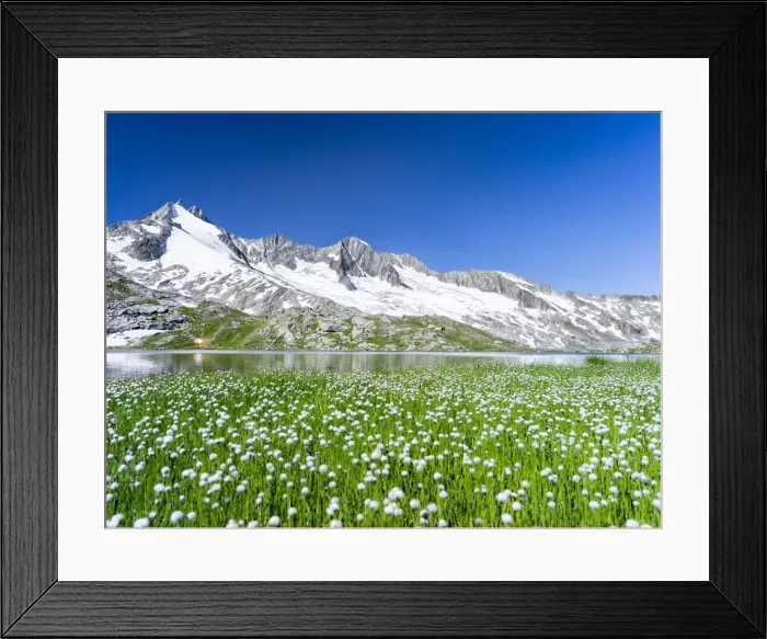 Framed Print : DDE-90028999 Framed Print : DDE-90028999