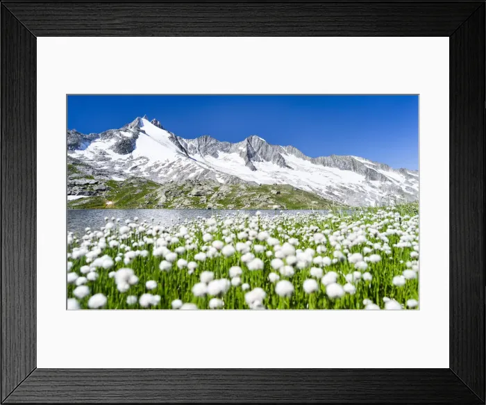 Framed Print : DDE-90029000 Framed Print : DDE-90029000