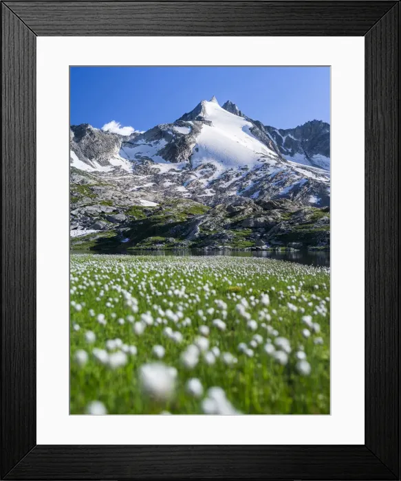 Framed Print : DDE-90029001