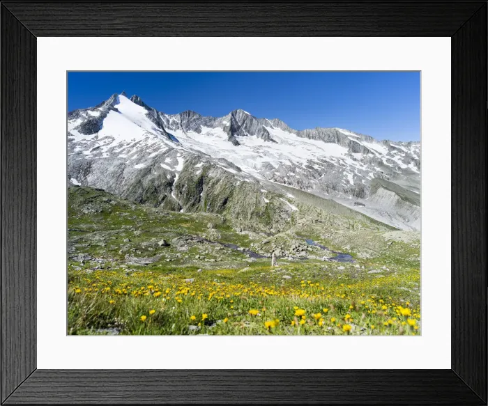 Framed Print : DDE-90029004 Framed Print : DDE-90029004