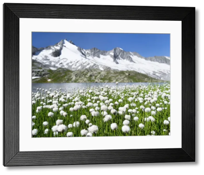 Framed Print : DDE-90029005 Framed Print : DDE-90029005
