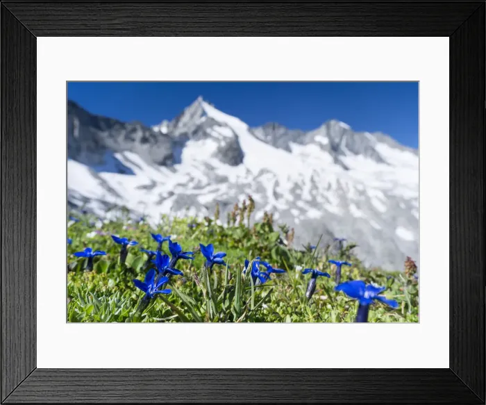 Framed Print : DDE-90029006 Framed Print : DDE-90029006