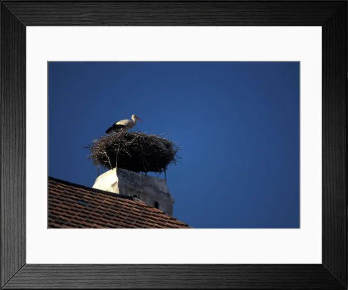 Framed Print : DDE-90029013 Framed Print : DDE-90029013
