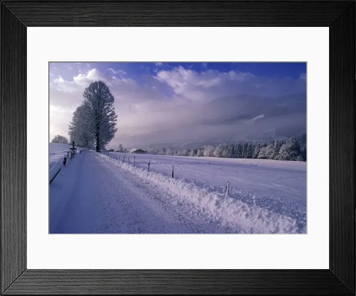 Framed Print : DDE-90029017 Framed Print : DDE-90029017