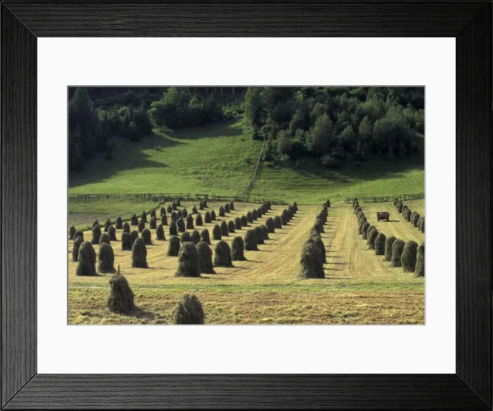 Framed Print : DDE-90029018 Framed Print : DDE-90029018