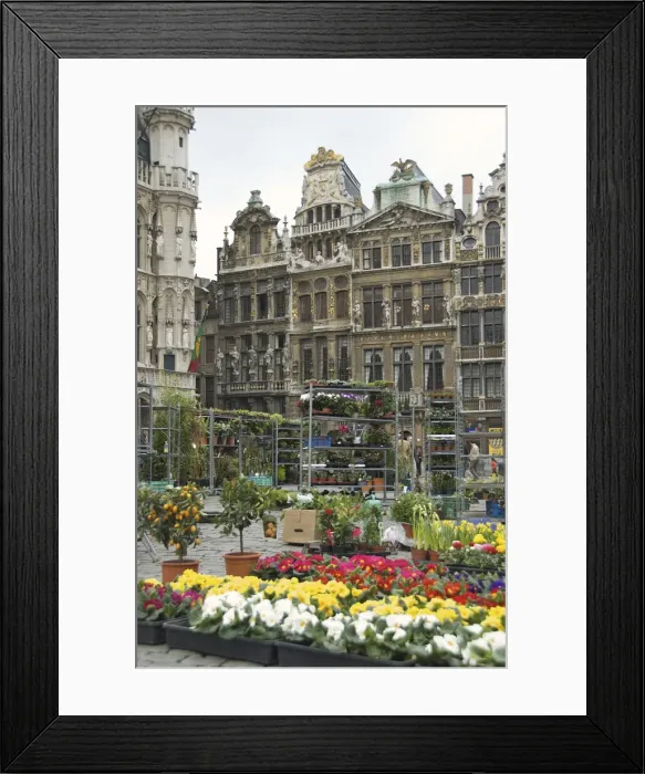 Framed Print : DDE-90029026