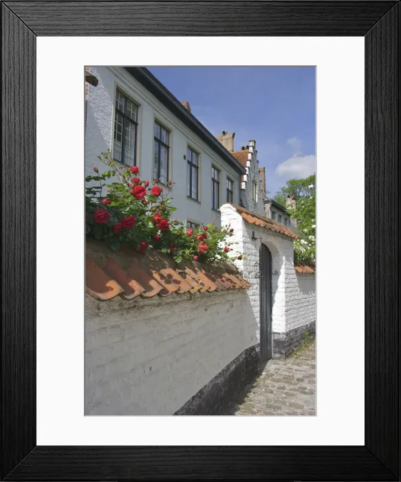 Framed Print : DDE-90029037