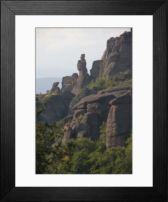 Framed Print : DDE-90029050 Framed Print : DDE-90029050