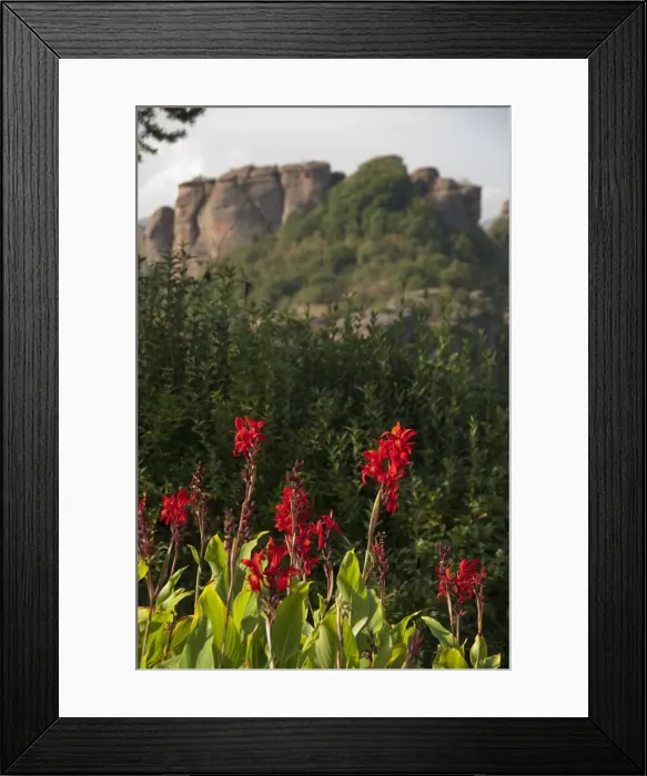 Framed Print : DDE-90029048 Framed Print : DDE-90029048