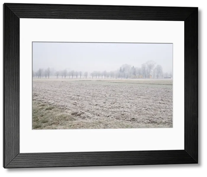 Framed Print : DDE-90029072 Framed Print : DDE-90029072
