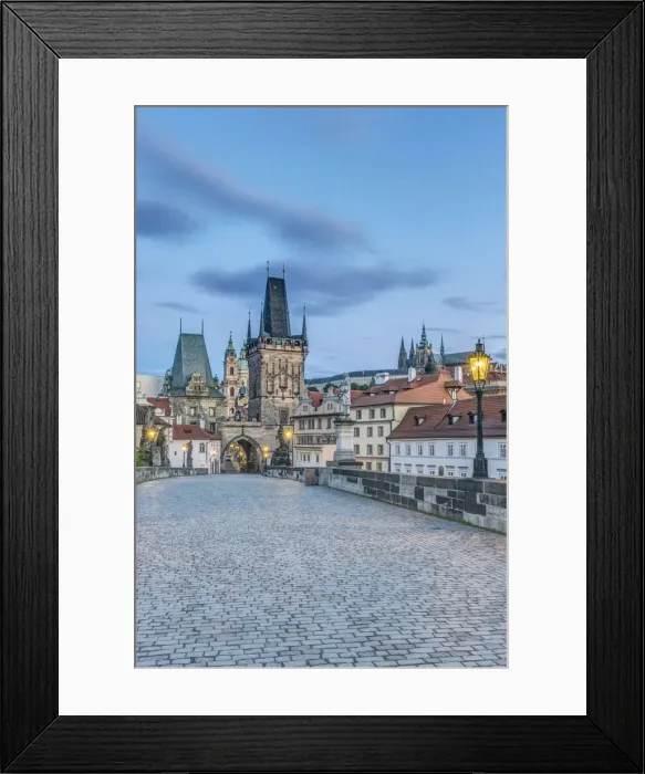 Framed Print : DDE-90029086 Framed Print : DDE-90029086