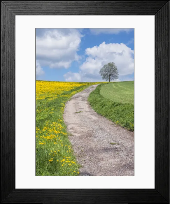 Framed Print : DDE-90029093 Framed Print : DDE-90029093