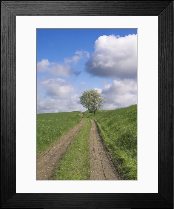 Framed Print : DDE-90029094 Framed Print : DDE-90029094