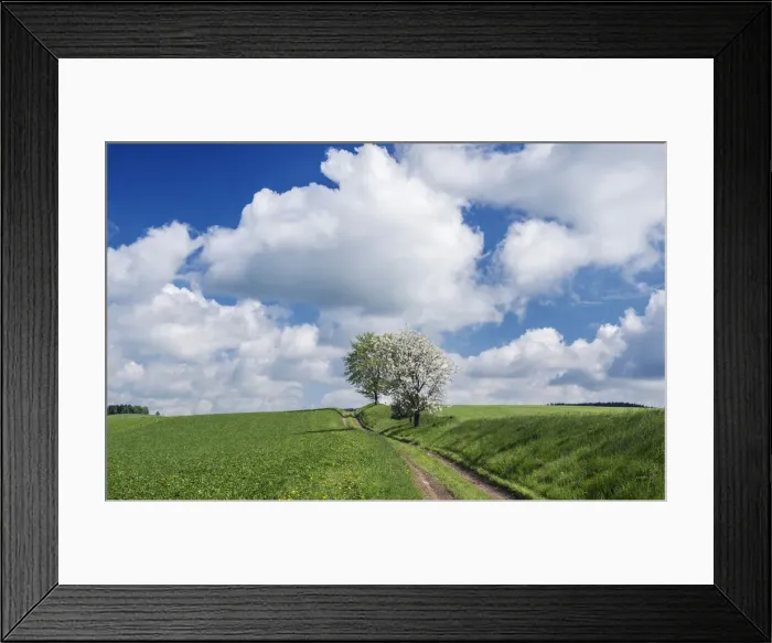 Framed Print : DDE-90029095 Framed Print : DDE-90029095