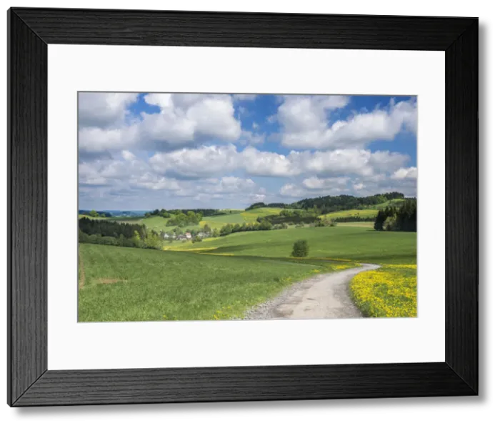 Framed Print : DDE-90029096 Framed Print : DDE-90029096