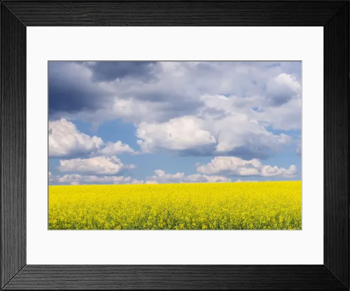 Framed Print : DDE-90029098 Framed Print : DDE-90029098