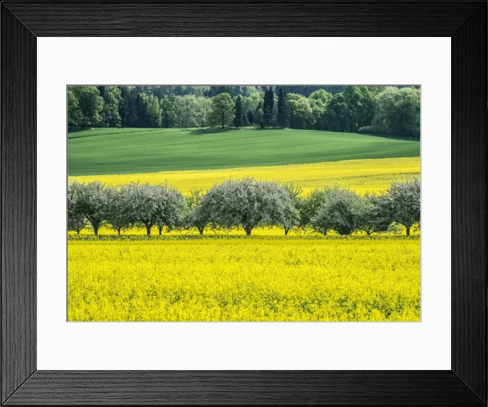 Framed Print : DDE-90029100 Framed Print : DDE-90029100